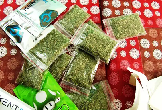 Cỏ Mỹ, Cần Sa: Nhận biết, dấu hiệu sử dụng và tác hại đối với cơ thể con người