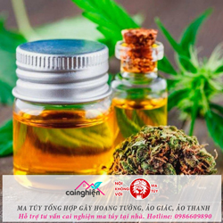 Cai Cỏ & Thuốc lá điện tử - Phương pháp cai nghiện tại nhà hiệu quả